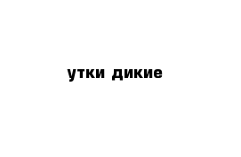 утки дикие